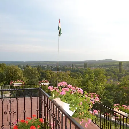 Guest house Berezdteto Vendeghaz